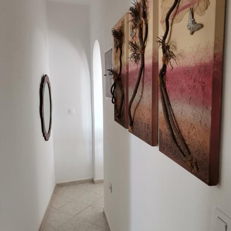 Seaview Family House Διαμέρισμα Αρκάσα Εξωτερικό φωτογραφία